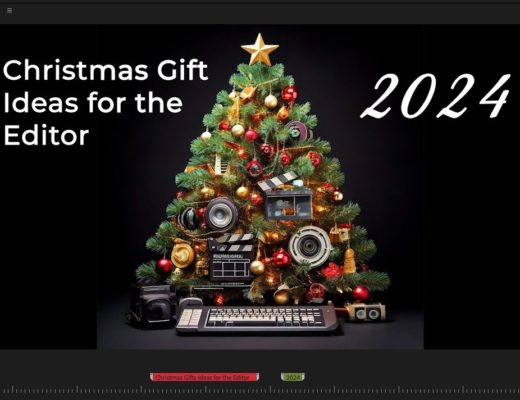 Christmas Gift Ideas for the Editor 2024 16