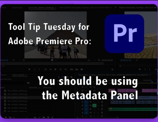 You should be using the Metadata Panel 41