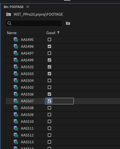 Tool Tip Tuesday for Adobe Premiere Pro: The Good Column 17