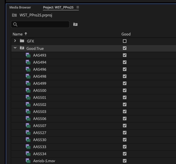 Tool Tip Tuesday for Adobe Premiere Pro: The Good Column 19