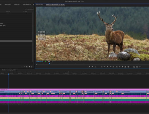 How to Edit Smarter in Premiere Pro 9